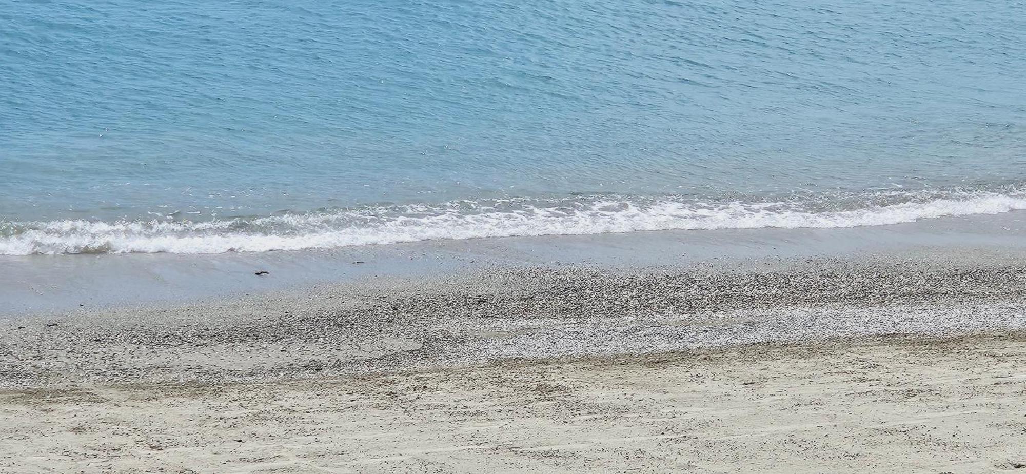 Vista Mare Savona Lägenhet Exteriör bild
